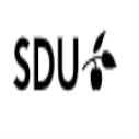 SDU International Postdoctoral Positions in Control Engineering, Denmark